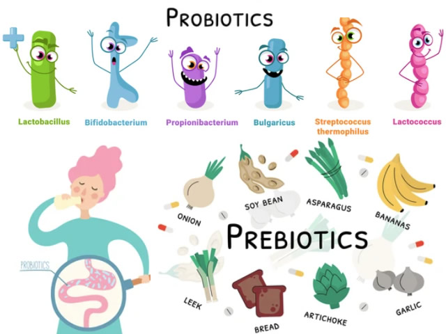 Probiotici e Prebiotici: Differenze? Cosa sono?