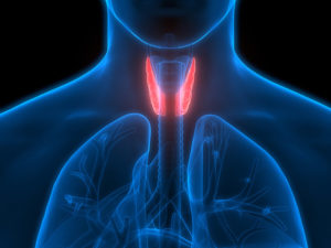TSH: ormone della tiroide